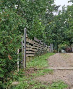 PHOTO-2025-11-18-20-11-55 1