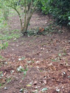 PHOTO-2025-11-18-20-11-55 3