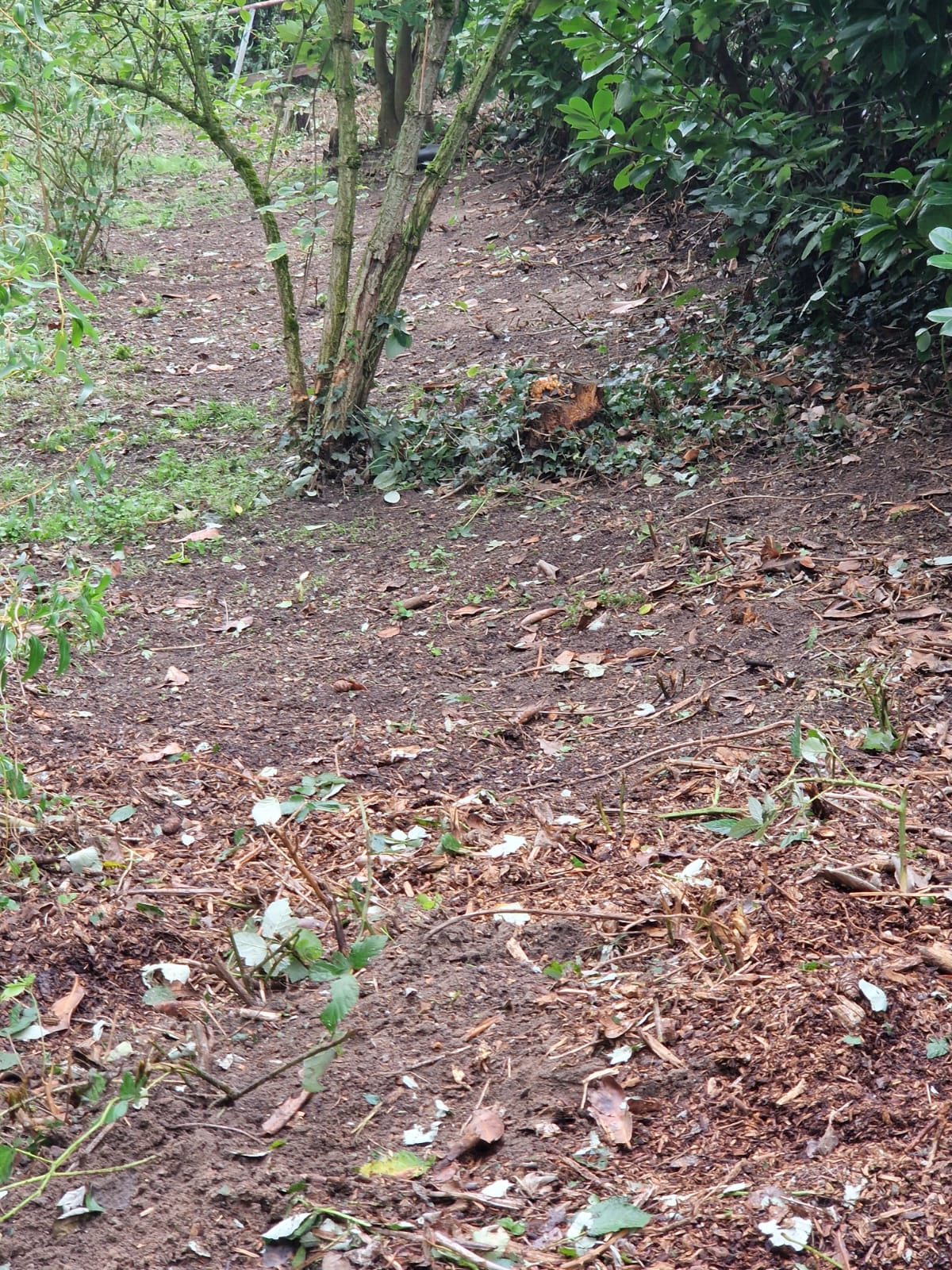 PHOTO-2025-11-18-20-11-55 3