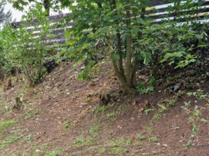 PHOTO-2025-11-18-20-11-55 4