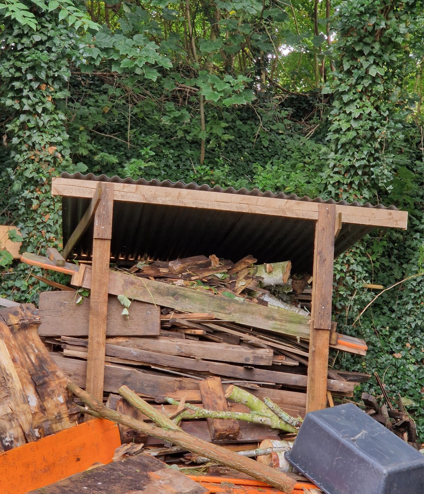 PHOTO-2025-11-18-20-11-55 5