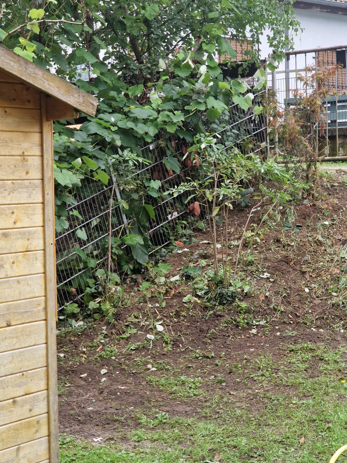 PHOTO-2025-11-18-20-11-55