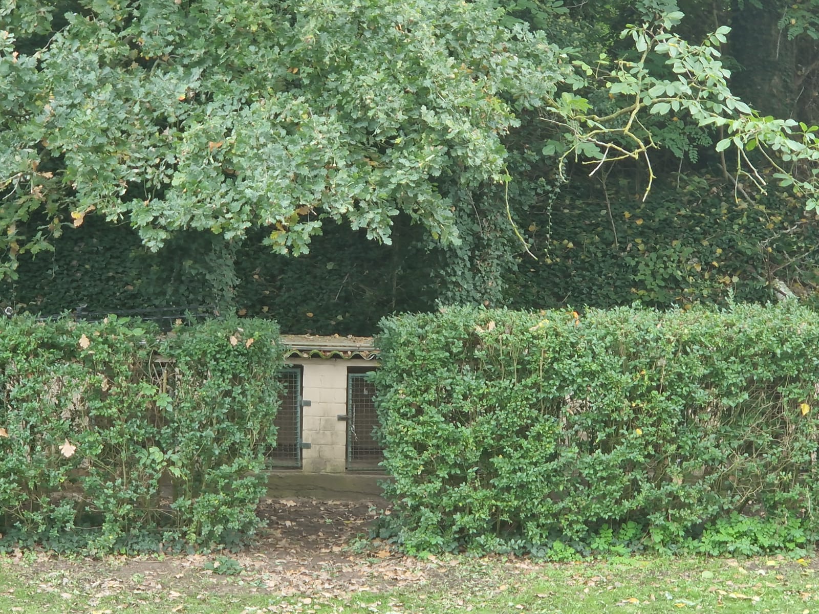 PHOTO-2025-11-18-20-11-56 7