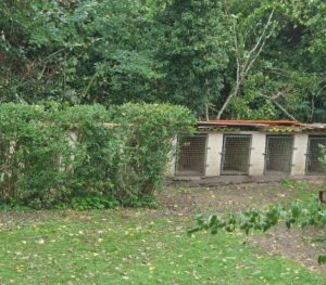 PHOTO-2025-11-18-20-11-56 8