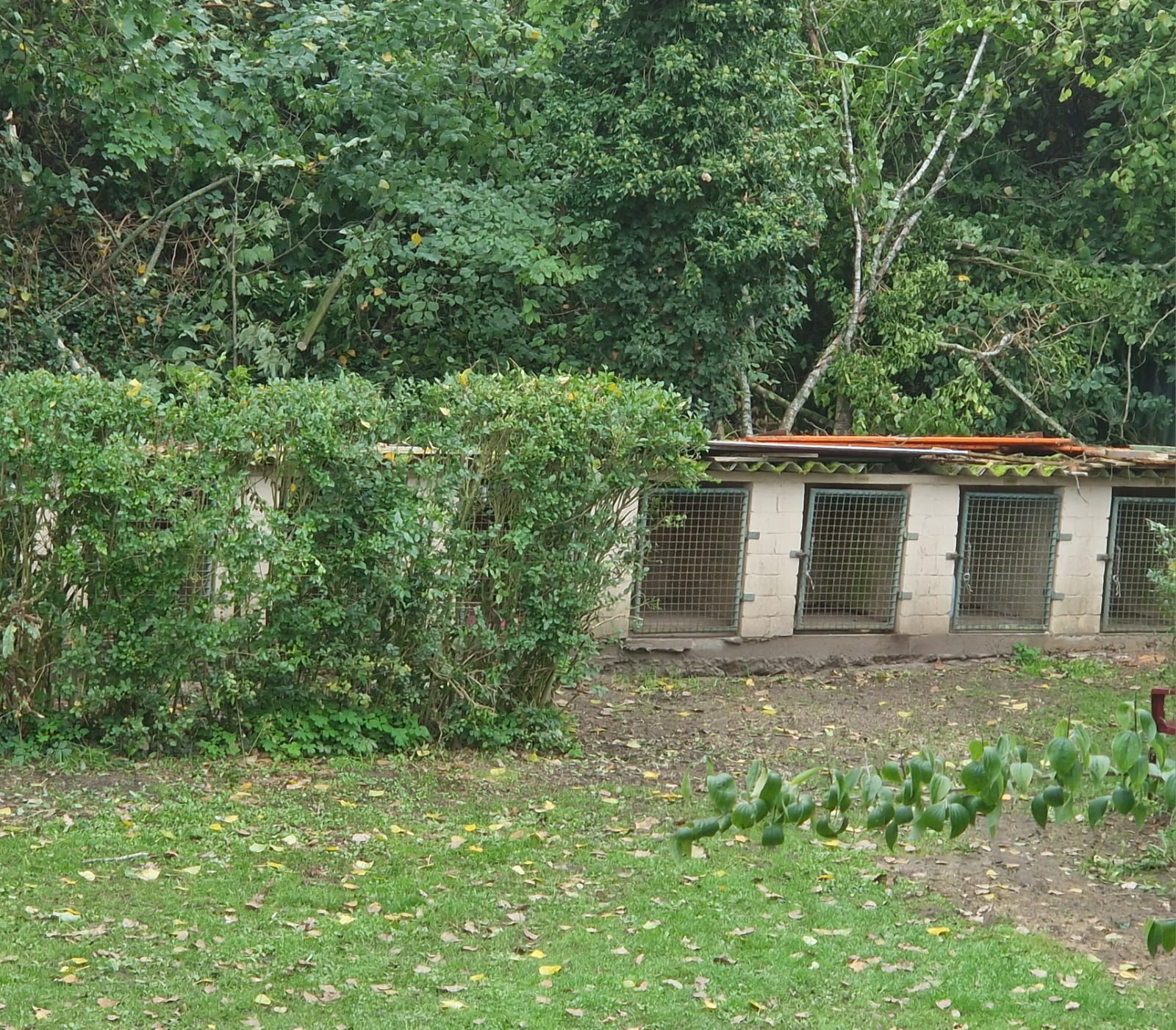 PHOTO-2025-11-18-20-11-56 8