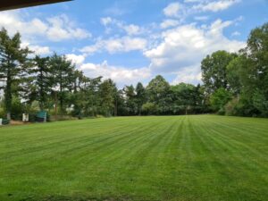 PHOTO-2025-11-18-22-07-05 1