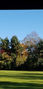 PHOTO-2025-11-18-22-07-05