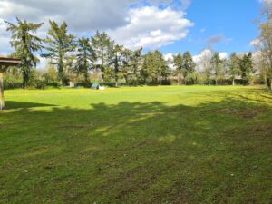 PHOTO-2025-11-18-22-07-05 2