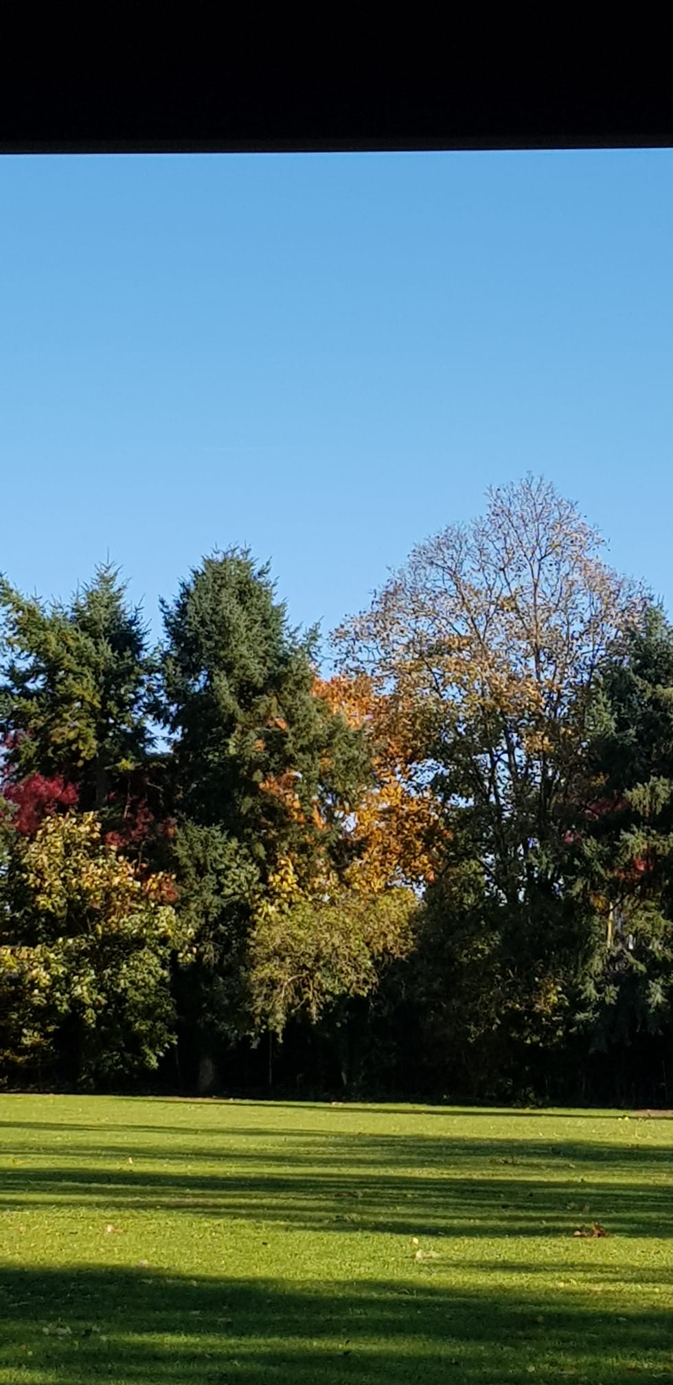 PHOTO-2025-11-18-22-07-05