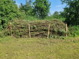 PHOTO-2025-11-18-22-58-44 1