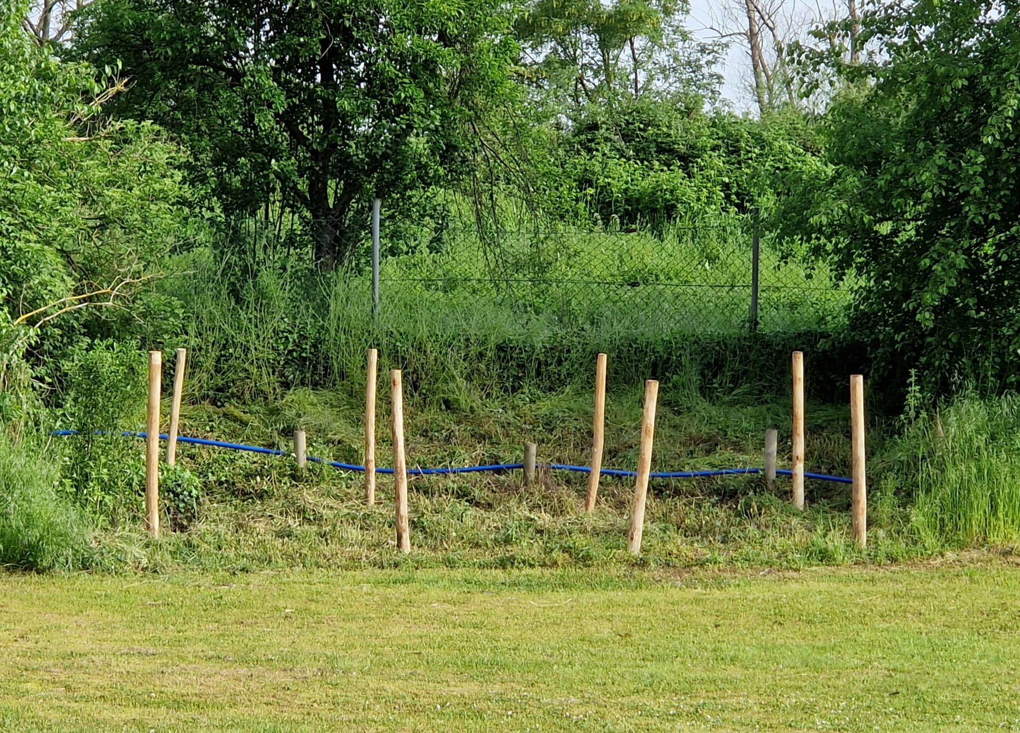 PHOTO-2025-11-18-22-58-44