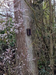 PHOTO-2025-11-18-23-03-37 1