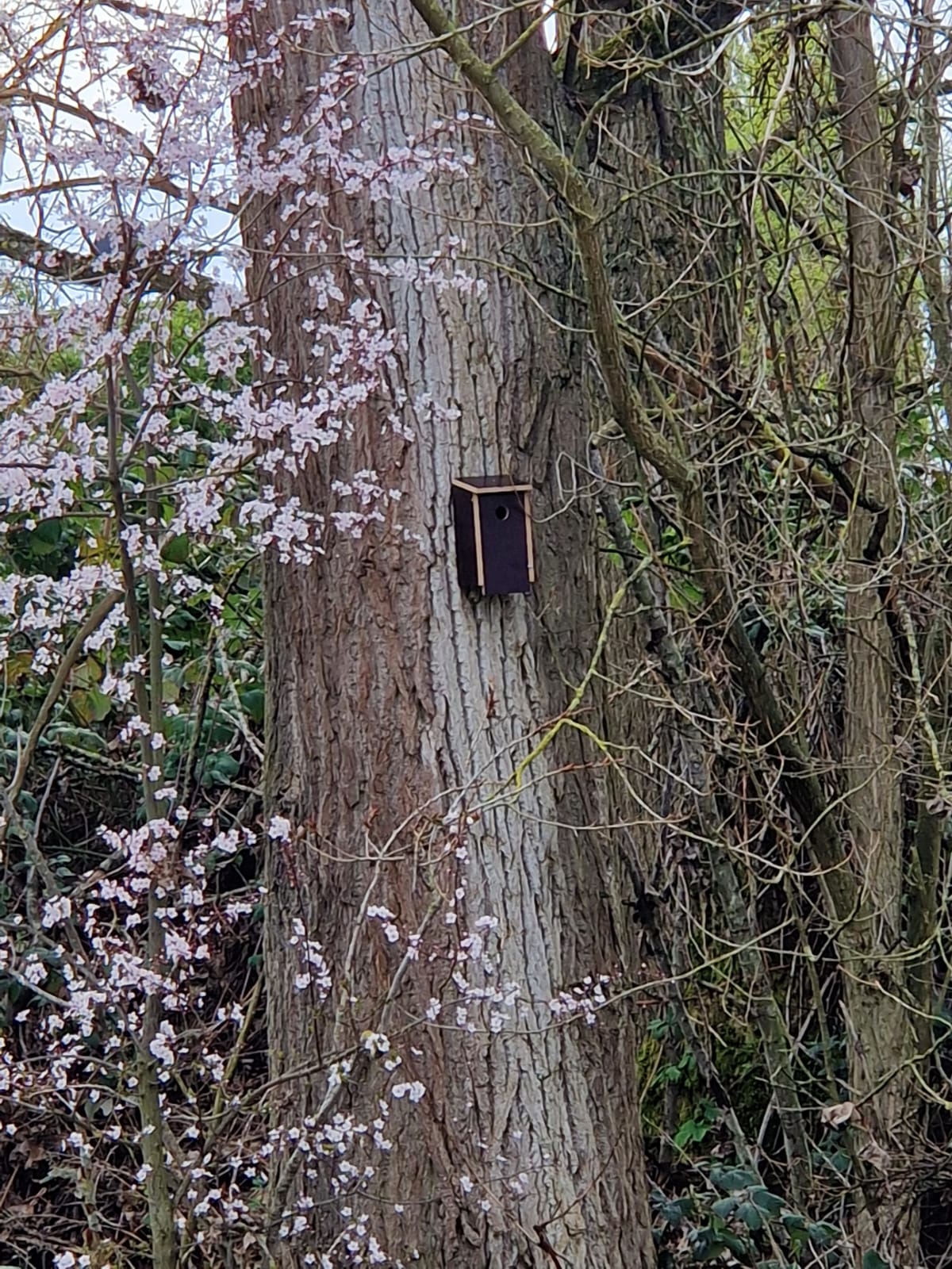 PHOTO-2025-11-18-23-03-37 1