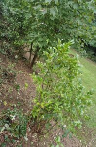 ~tmp3E_PHOTO-2025-11-18-20-11-56