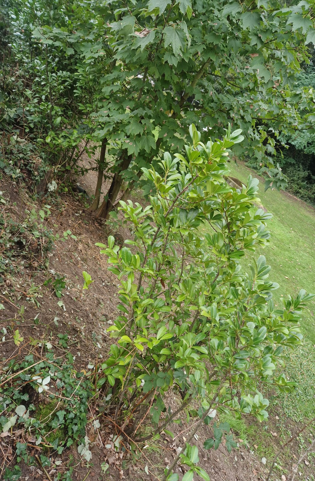 ~tmp3E_PHOTO-2025-11-18-20-11-56